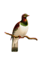 Northland Golf Club